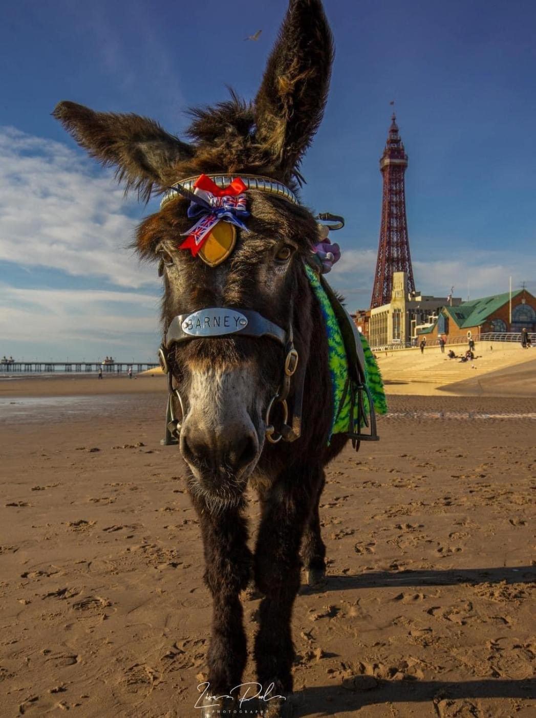 The Bailey Hotel Blackpool (Adults Only) Экстерьер фото